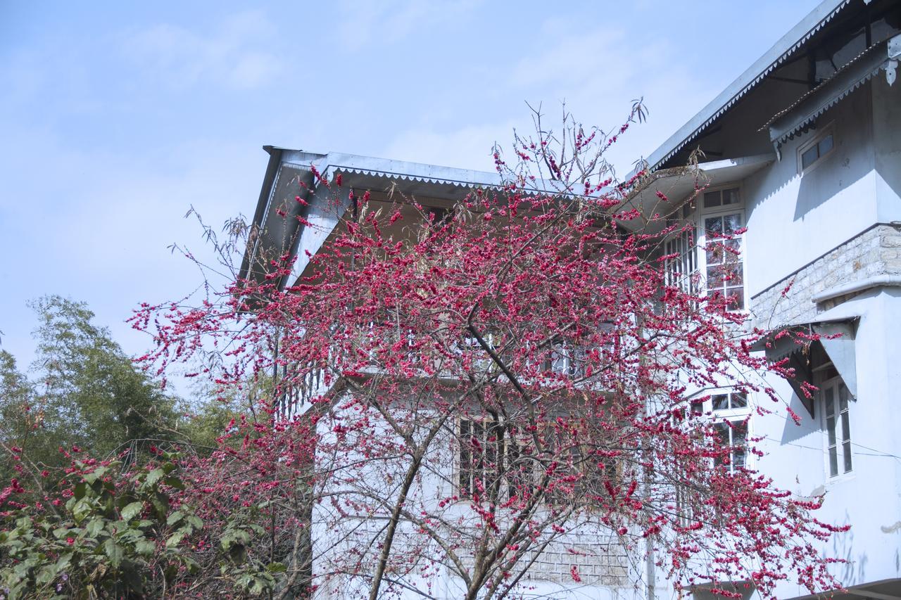 The Mazong Hotel Gangtok Exteriör bild